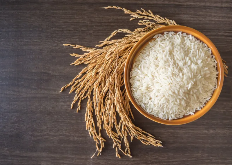 raw white rice (thai jasmine rice) in brown bowl and and ear of rice or unmilled rice on wooden background