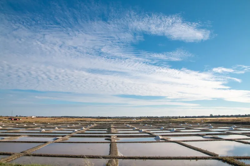 marais salants de l'île de noirmoutier, france
