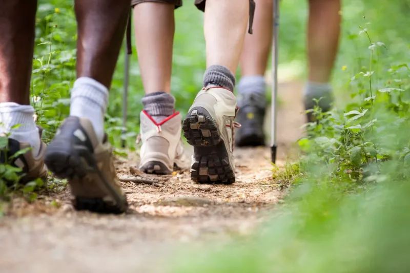 group of man and women during hiking excursion in woods, walking in a queue along a path low section view