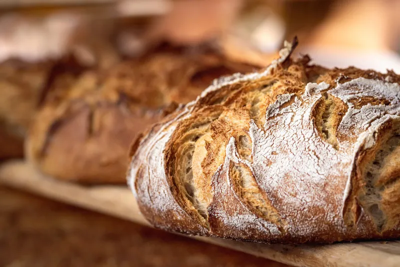 round bread close-up freshly baked sourdough bread with a golden crust on bakery shelves baker shop context with delicious bread pastry items