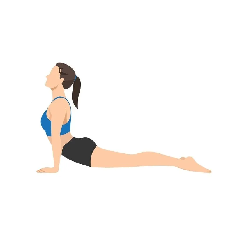 woman,doing,upward,facing,dog,pose,urdhva,muka,exercise,flat