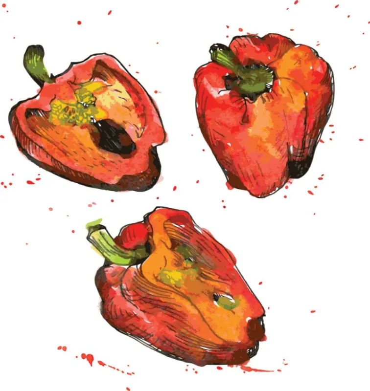 red sweet peppers, whole bulgarian pepper, slised pepper, watercolor drawing vegetables,vectopr illustration