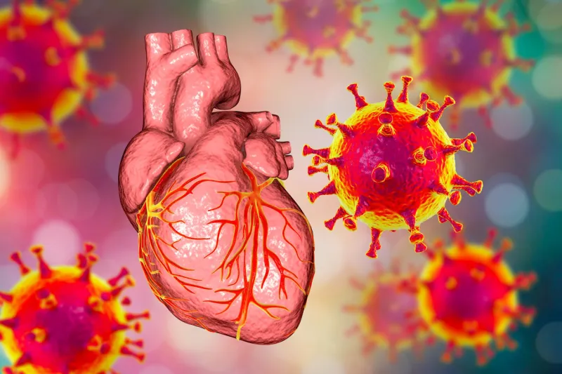 covid-19 viruses affecting the heart, conceptual 3d illustration heart complications associated with covid-19 coronavirus disease the negative effect of sars-cov-2 virus on the human heart
