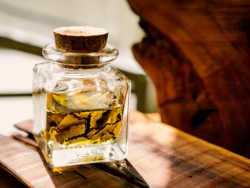 mushrooms black truffle in the bottle with oil it is standing on a wooden board in front of sunlight