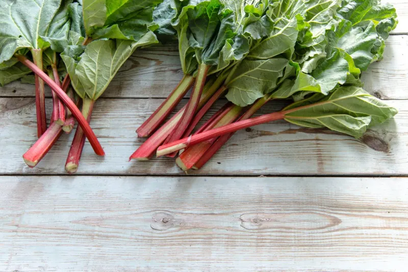 rhubarb