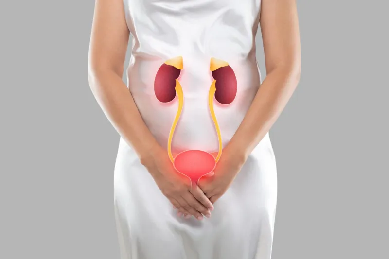 illustration of the bladder and kidneys is on the woman's body, on a gray background, kidney failure or kidney damage