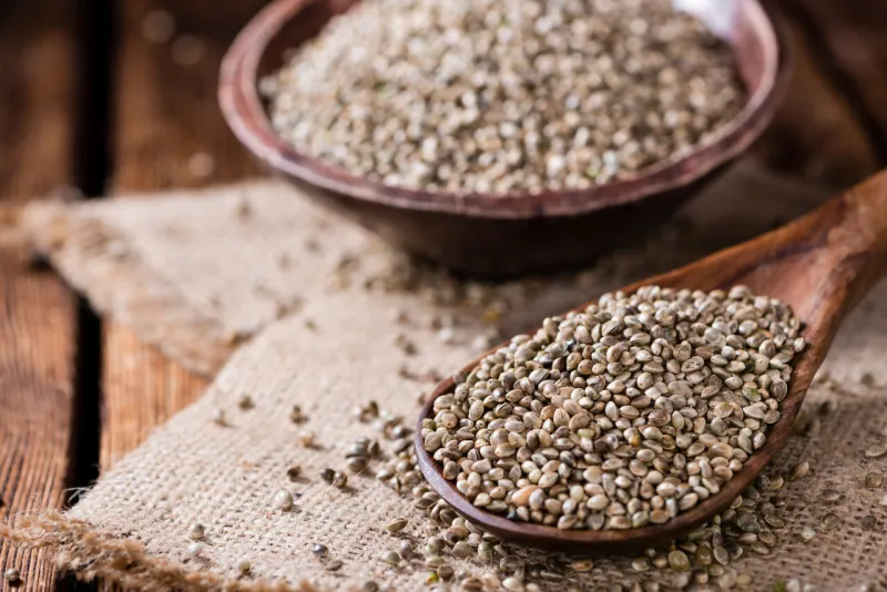 portion of hemp seeds (close-up shot) on an old wooden table