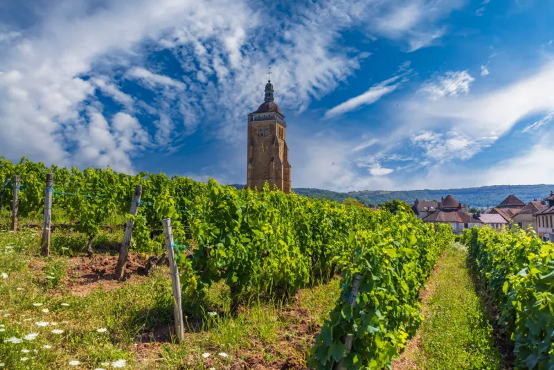 vineyards with arbois church, department jura, franche-comte, france