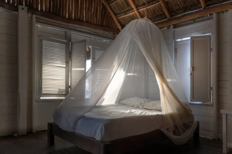 interior of mahaual caribbean wooden hut, mexican beach log cabin, dawn in bed whit mosquito net