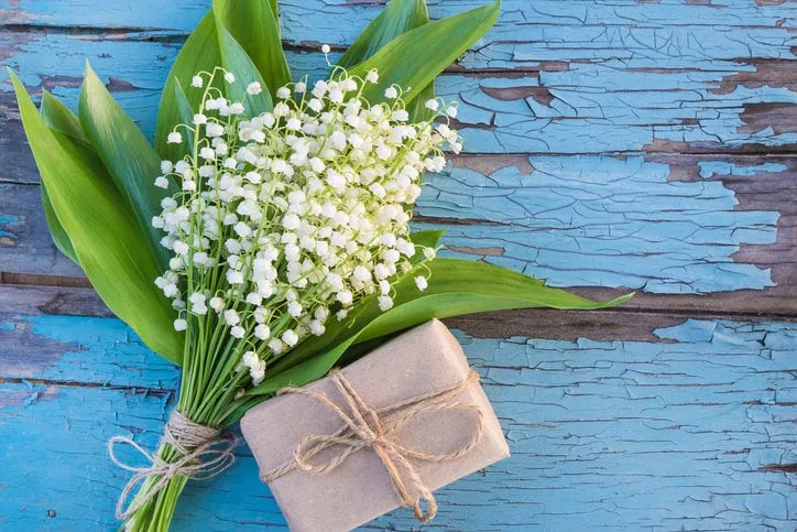 bouquet of lilies of the valley and handmade gift box on blue old paint wooden background space for text, flat lay