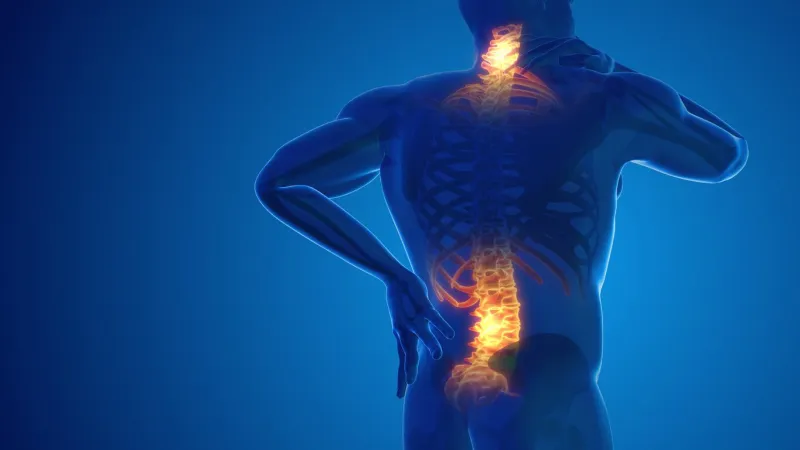 pain in the back and neck joint 3d illustration