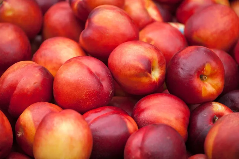 fresh nektarine on the market