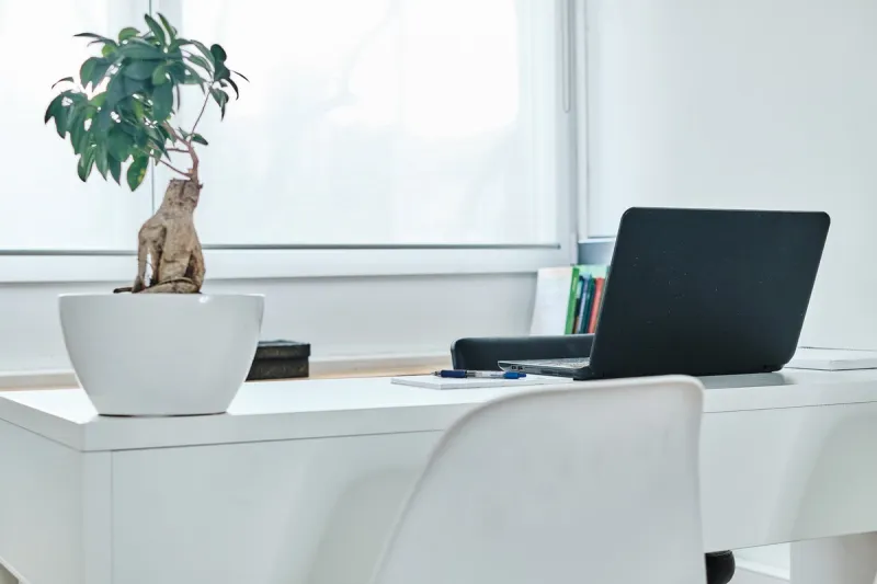 black laptop and a bonsai on a white table with papers and a pen