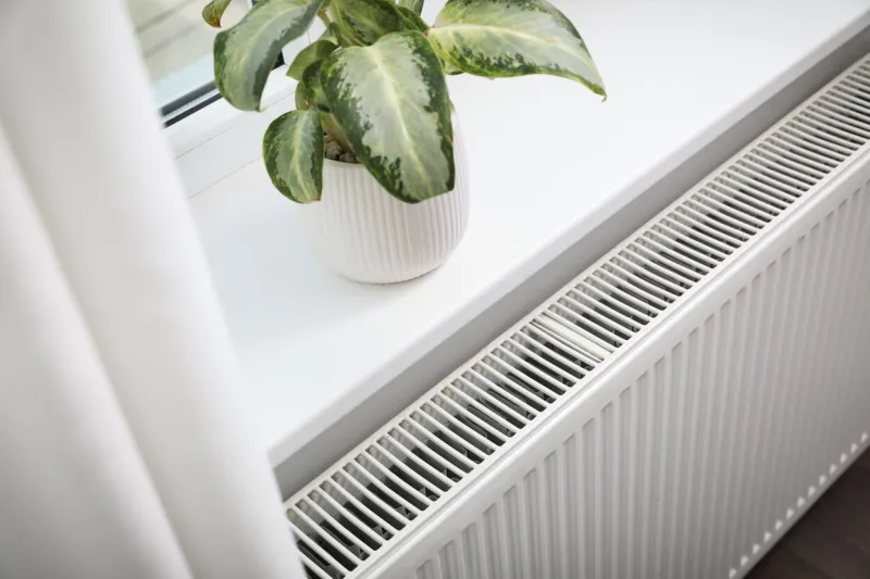 beautiful houseplant on window sill and modern radiator at home central heating system
