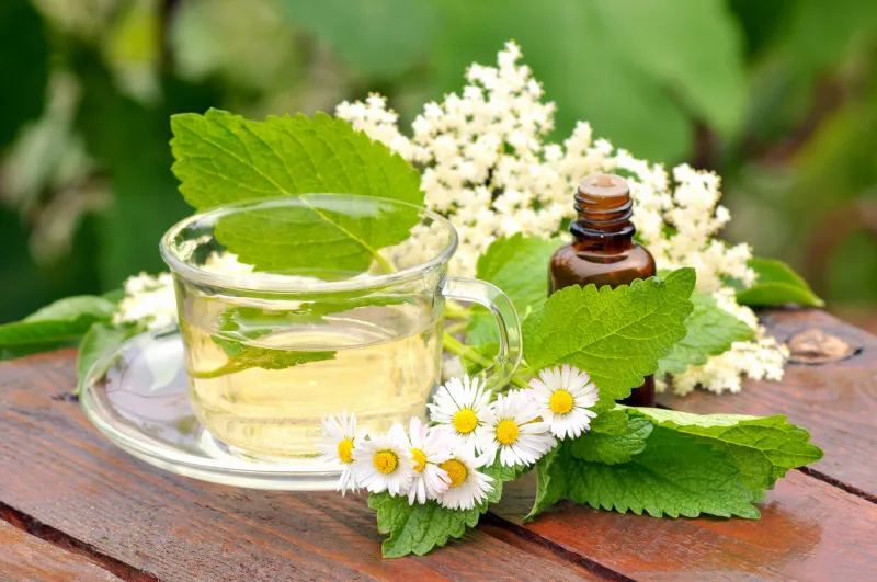 chamomile, lemon balm and elderberry herbal tea in a glass cup, with essential oil in a bottle arranged on a wooden desk