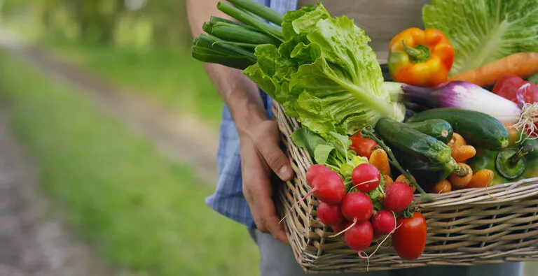 portrait of a happy young farmer holding fresh vegetables in a b
