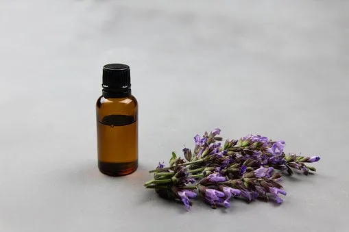 dark amber glass bottle full of essential oil and clary sage flowers, salvia sclarea, for aromatherapy naturopathy, wildflowers extract fragrance