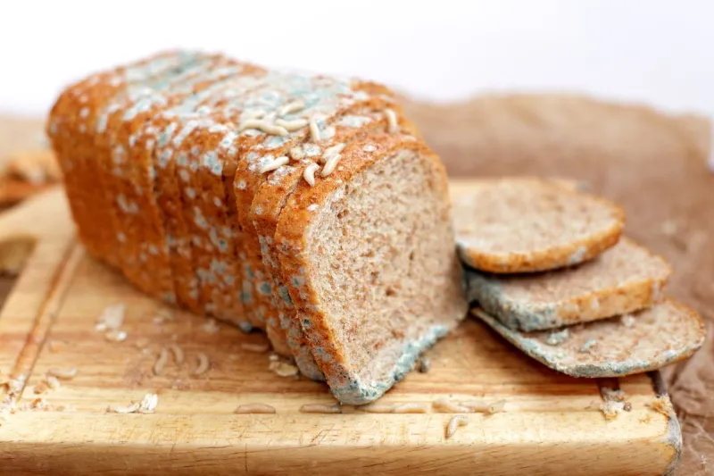 loaf of bread, dirt, germs, mess and worms