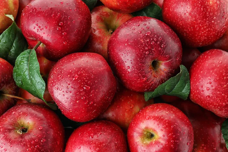 many ripe juicy red apples covered with water drops as background