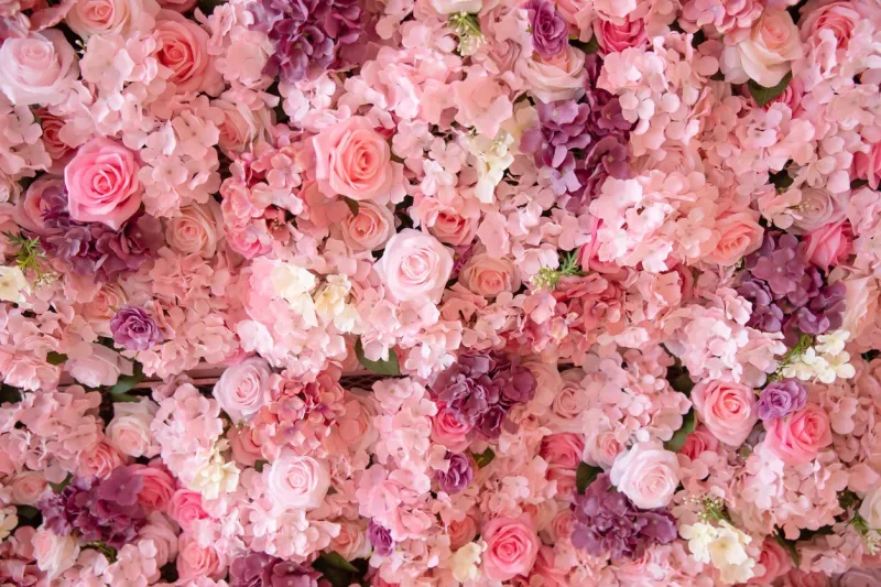 close-up of colorful roses backdrop wall