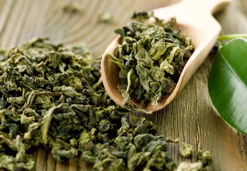high quality green tea closeup