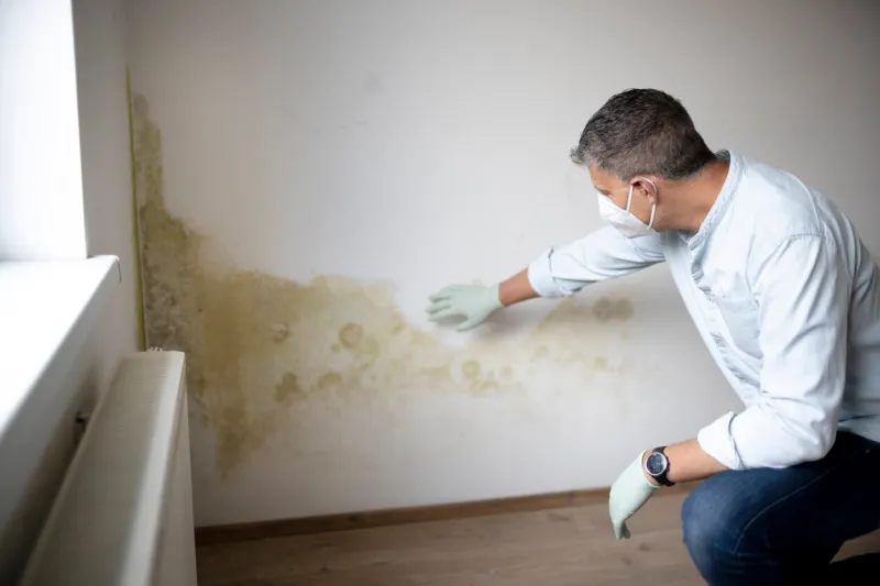 man with mouth nose mask and blue shirt and gloves n front of white wall with mold