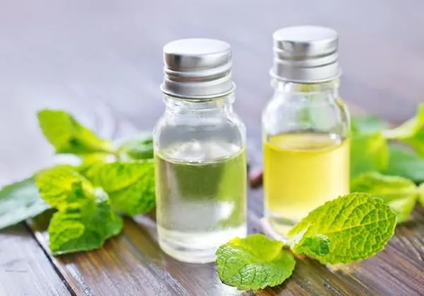 huile de menthe