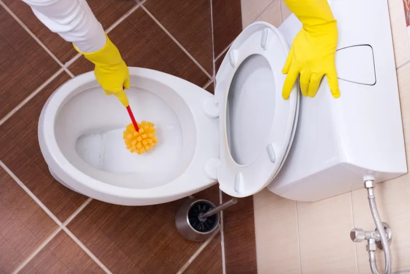 femme avec des gants de protection nettoyage des toilettes avec brosse