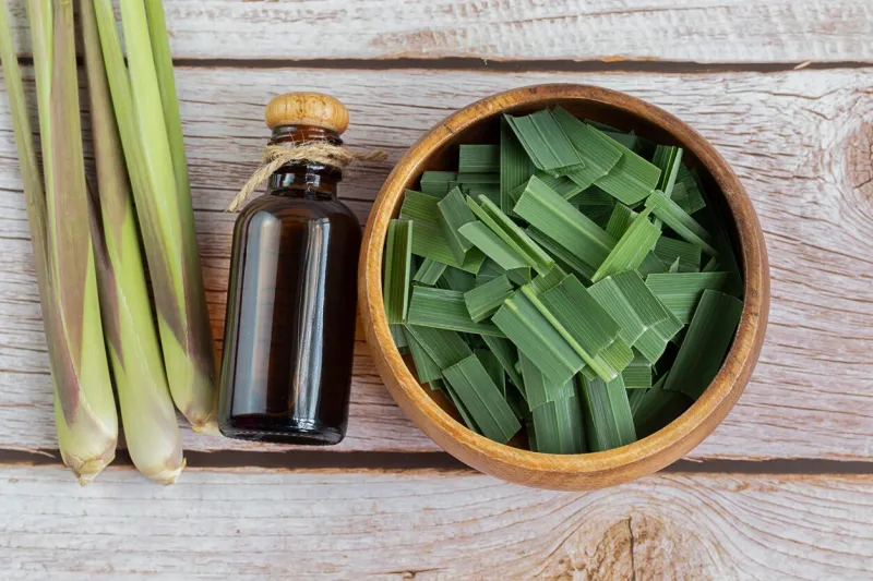 fresh lemongrass leaves on table lemongrass adds a distinctive citrus aroma and is used in thai cuisine for its aroma, medicinal properties
