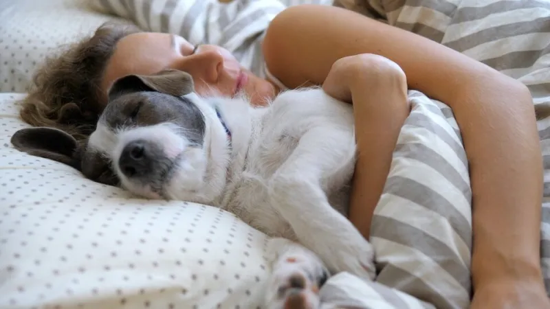 girl and her pet dog hugging in the bed