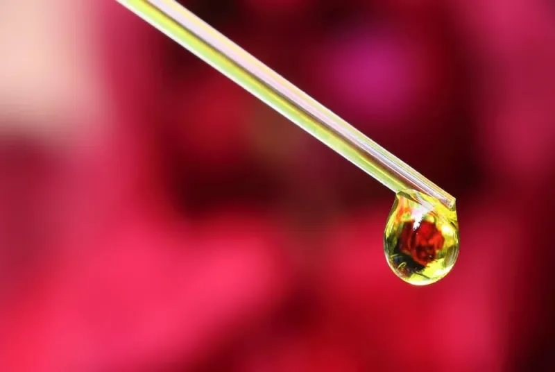 goutte de fines herbes d'un compte-gouttes