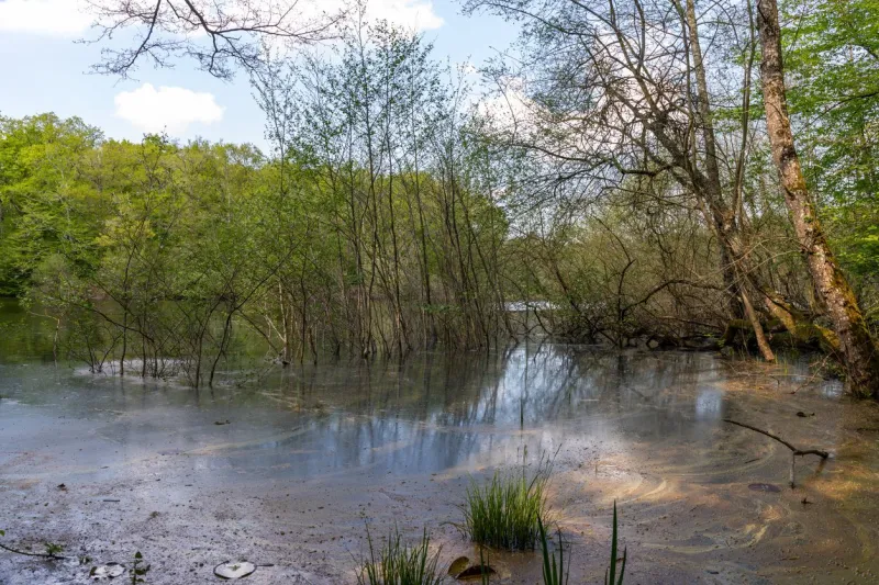 loire valley countryside - near langeais - france