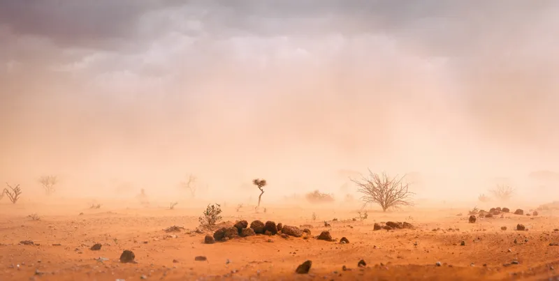 dusty sandstorm in refugee camp, dollo ado, somalia region, ethiopia, africa