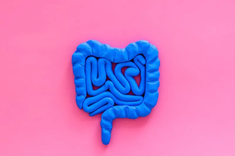 intestines health guts on pink background top view copy space