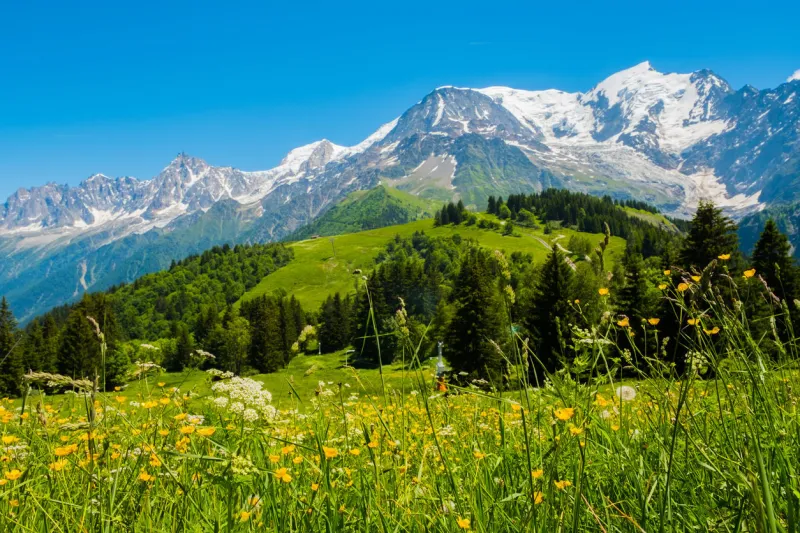 view of mont blanc from col du voza, les houches, france