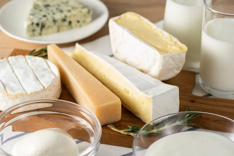 dairy products, milk products