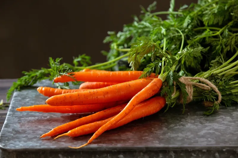 heap of ripe carrots with leaves on dark rustic table