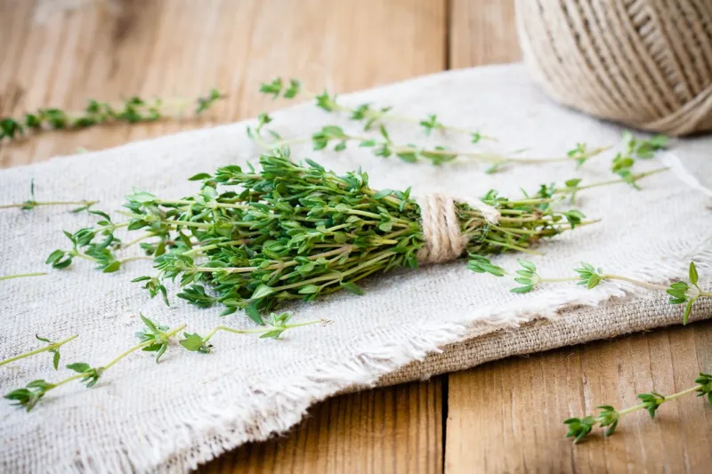bundle of raw fresh organic thyme on sackcloth
