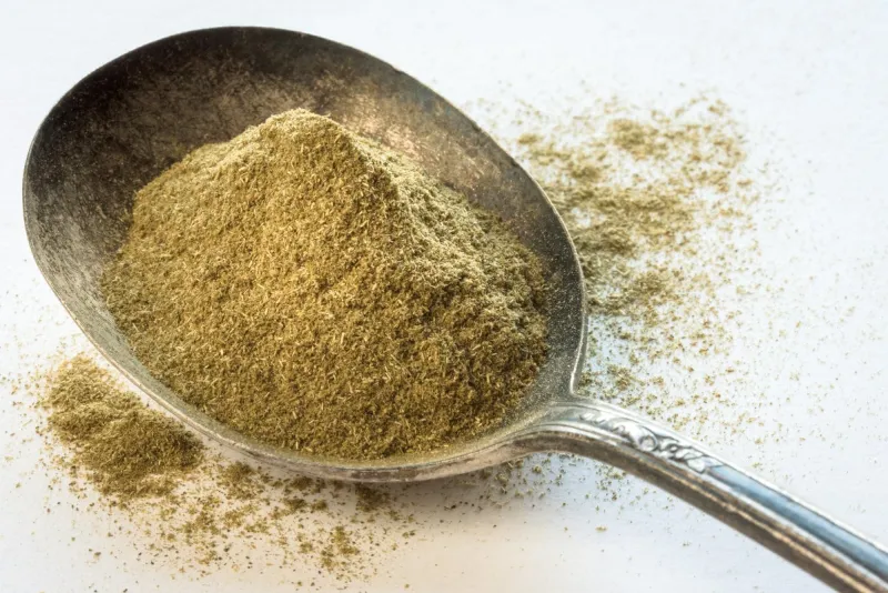 michelle lee photography