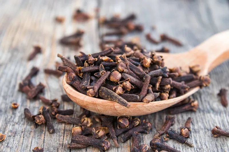 a spice of dried cloves lies on a wooden spoon and is scattered on old wooden boards spices cloves for cooking close-up