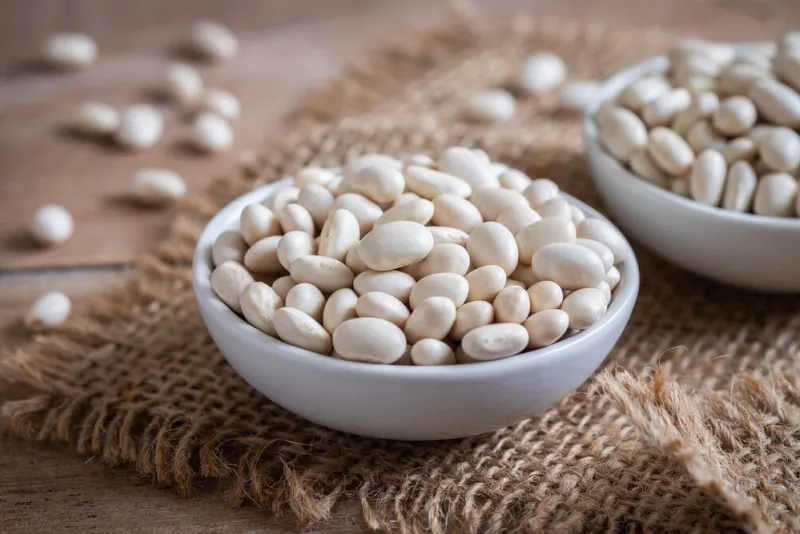 white bean in bowl