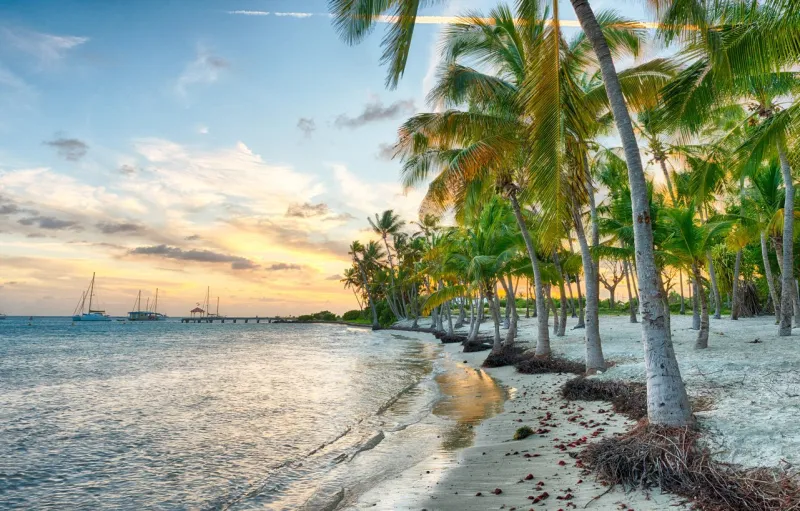 sunset over anse champagne beach in saint francois, guadeloupe, caribbean