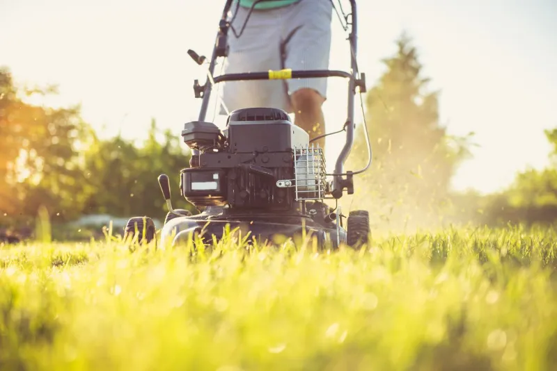 photo of a young man mowing the grass during the beautiful eveningphoto of a young man mowing the grass during the beautiful evening