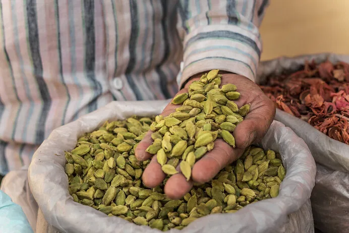 green cardamom in a man's hand and in a sack in the market