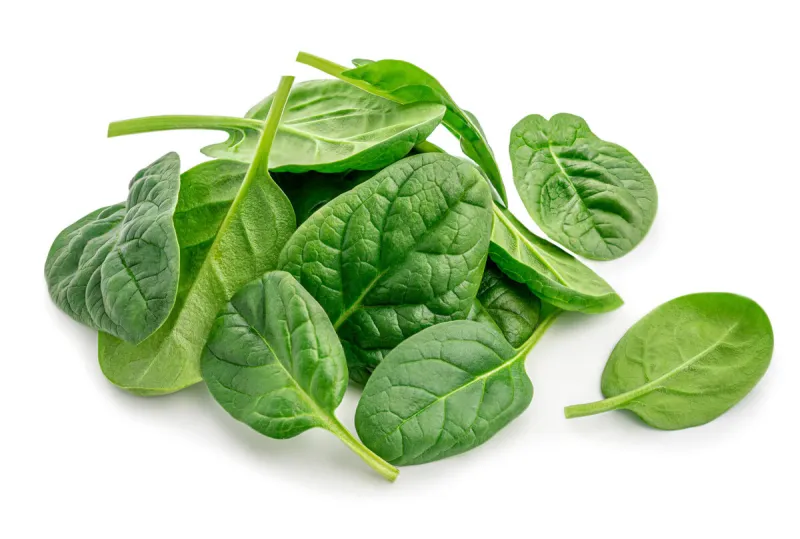 pile of fresh green baby spinach leaves isolated on white background close up