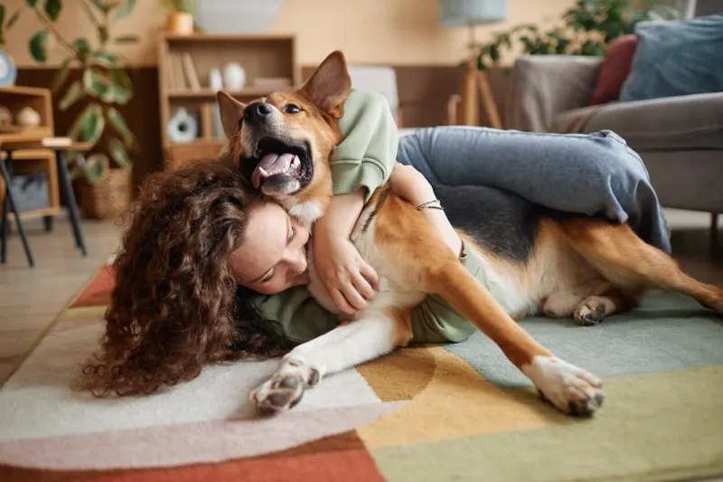 portrait of young woman playing with happy dog fooling around on floor at home, copy space
