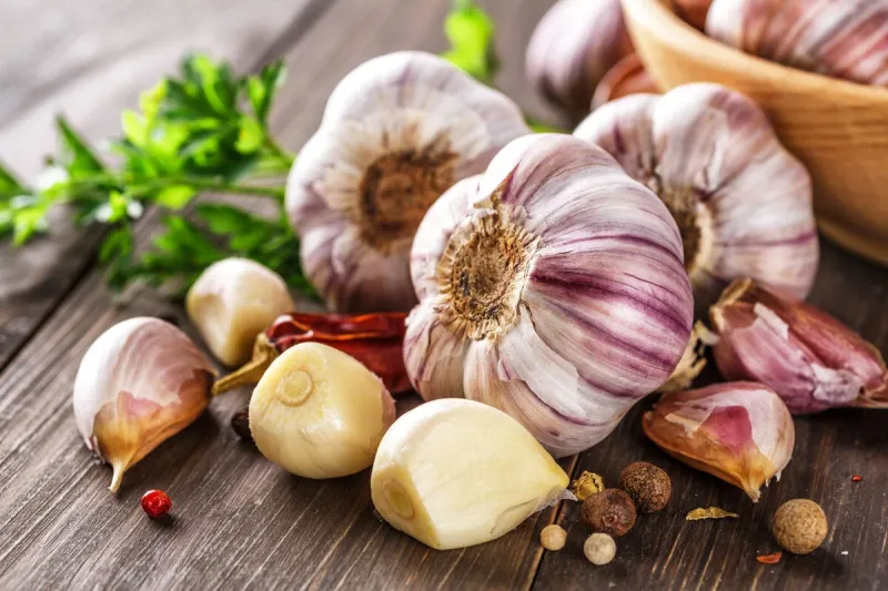 closeup of garlic bulbs on wooden table with garlics blur backgrounda set of fresh garlic on the chest wooden background