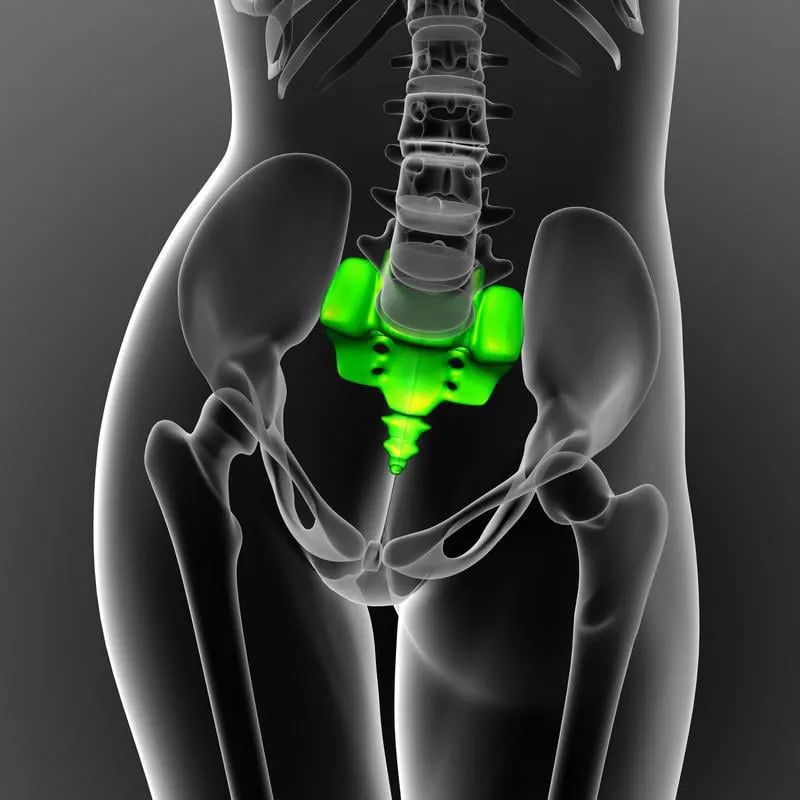 illustration médicale de rendu 3d de l'os du sacrum - vue de face