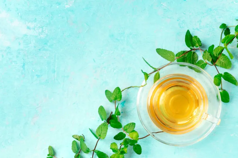 mint tea cup, shot from the top on a blue background with fresh mint leaves and copy space