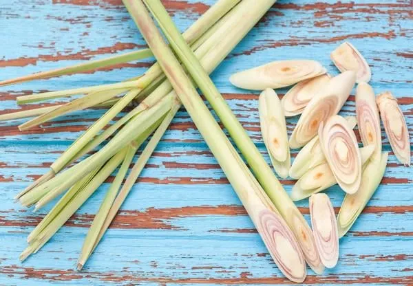 tranche de citronnelle aromatique frais parfumé tom yam ingrédient fond bleu bois teck nature morte
